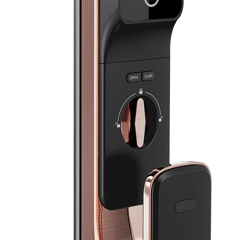 Philips EasyKey Alpha-VP 智能視像門鎖 紅古銅/曜石黑 香港行貨